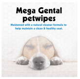 بسته بزرگ دستمال مرطوب حیوانات خانگی پتکین Petkin Mega Wipes 200 عددی روی میز