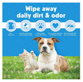بسته بزرگ دستمال مرطوب حیوانات خانگی پتکین Petkin Mega Wipes 200 عددی روی میز